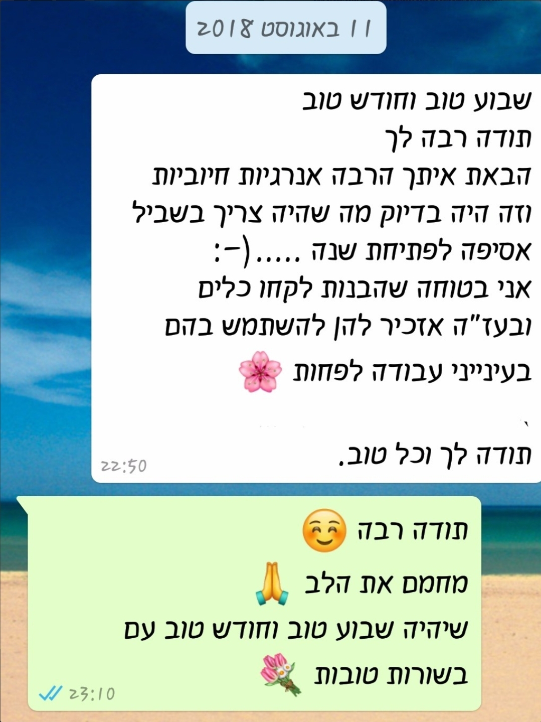 המלצה 11