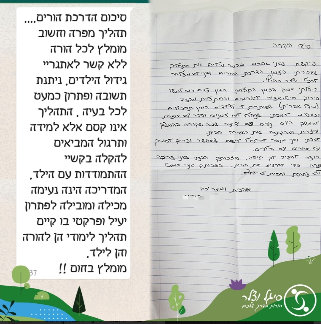 המלצה 12
